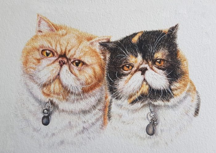 MULTIPLE PETS