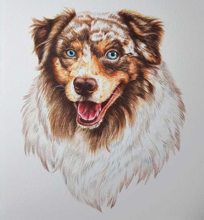 Medium pet portrait - Image 4