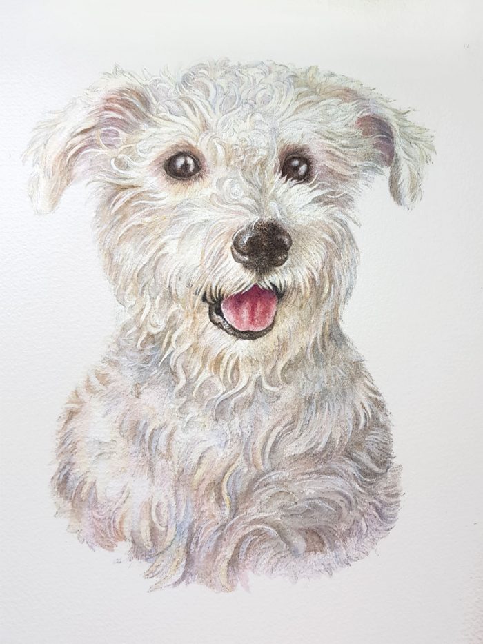 Medium pet portrait - Image 3