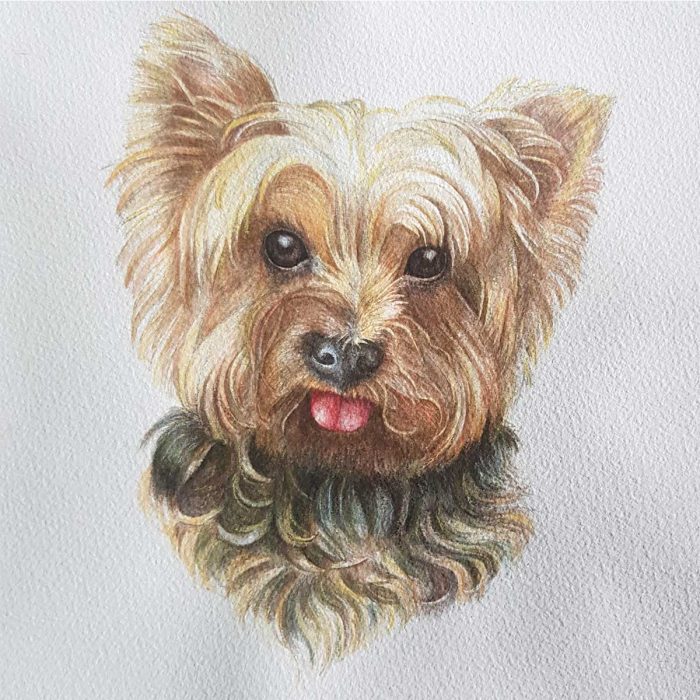 Small pet portrait - Image 4