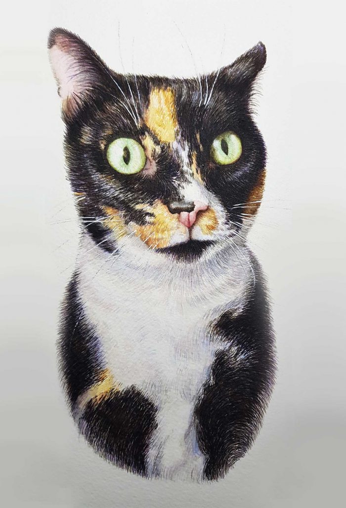 Large pet portrait - Image 2