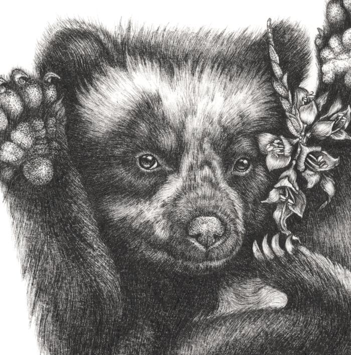 ADEAN BEAR CUB (Print) - Image 3